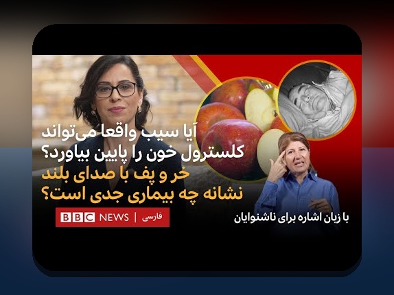 کشف رازهای سیب برنامه: چگونه این اپلیکیشن تحول در سایت شرط بندی را رقم می‌زند؟